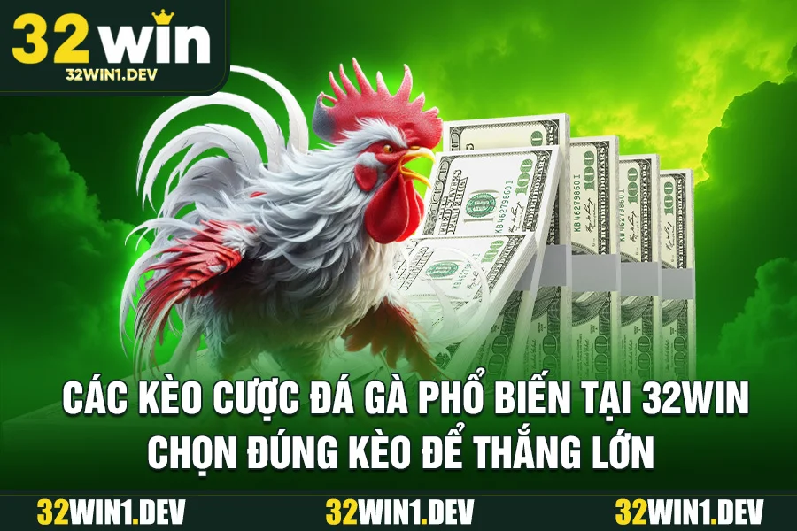 Các kèo cược đá gà phổ biến tại 32WIN – chọn đúng kèo để thắng lớn