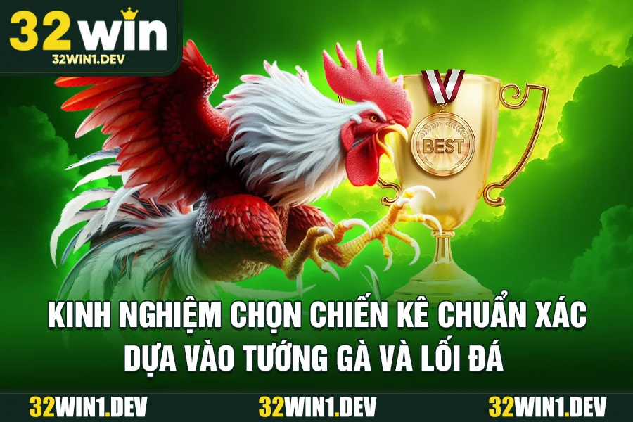 Kinh nghiệm chọn chiến kê chuẩn xác dựa vào tướng gà và lối đá